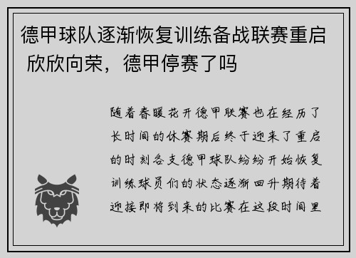 德甲球队逐渐恢复训练备战联赛重启 欣欣向荣,德甲停赛了吗