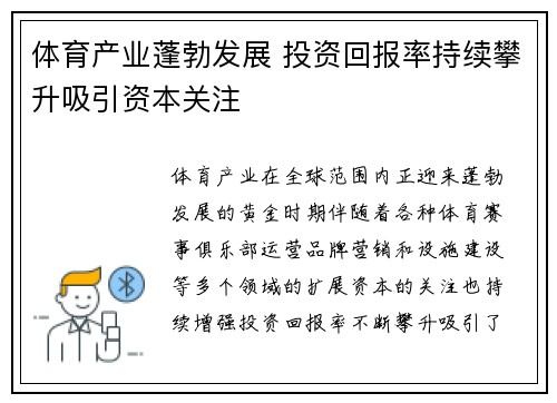 体育产业蓬勃发展 投资回报率持续攀升吸引资本关注