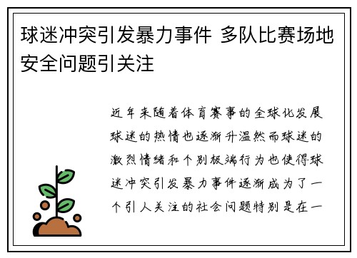 球迷冲突引发暴力事件 多队比赛场地安全问题引关注